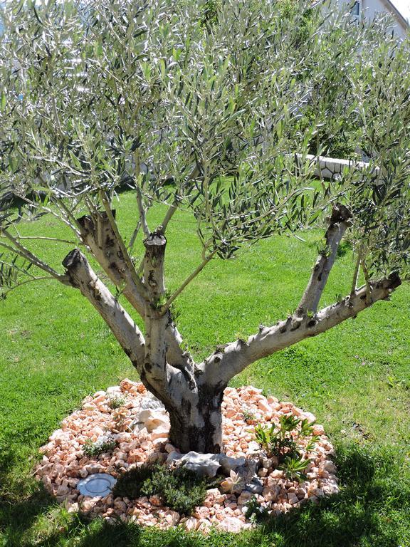 Apartments Villa Residenca Novi Vinodolski Εξωτερικό φωτογραφία